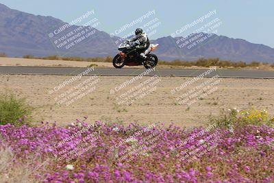 media/Mar-12-2023-SoCal Trackdays (Sun) [[d4c8249724]]/Turn 15 Inside Bloom (130pm)/